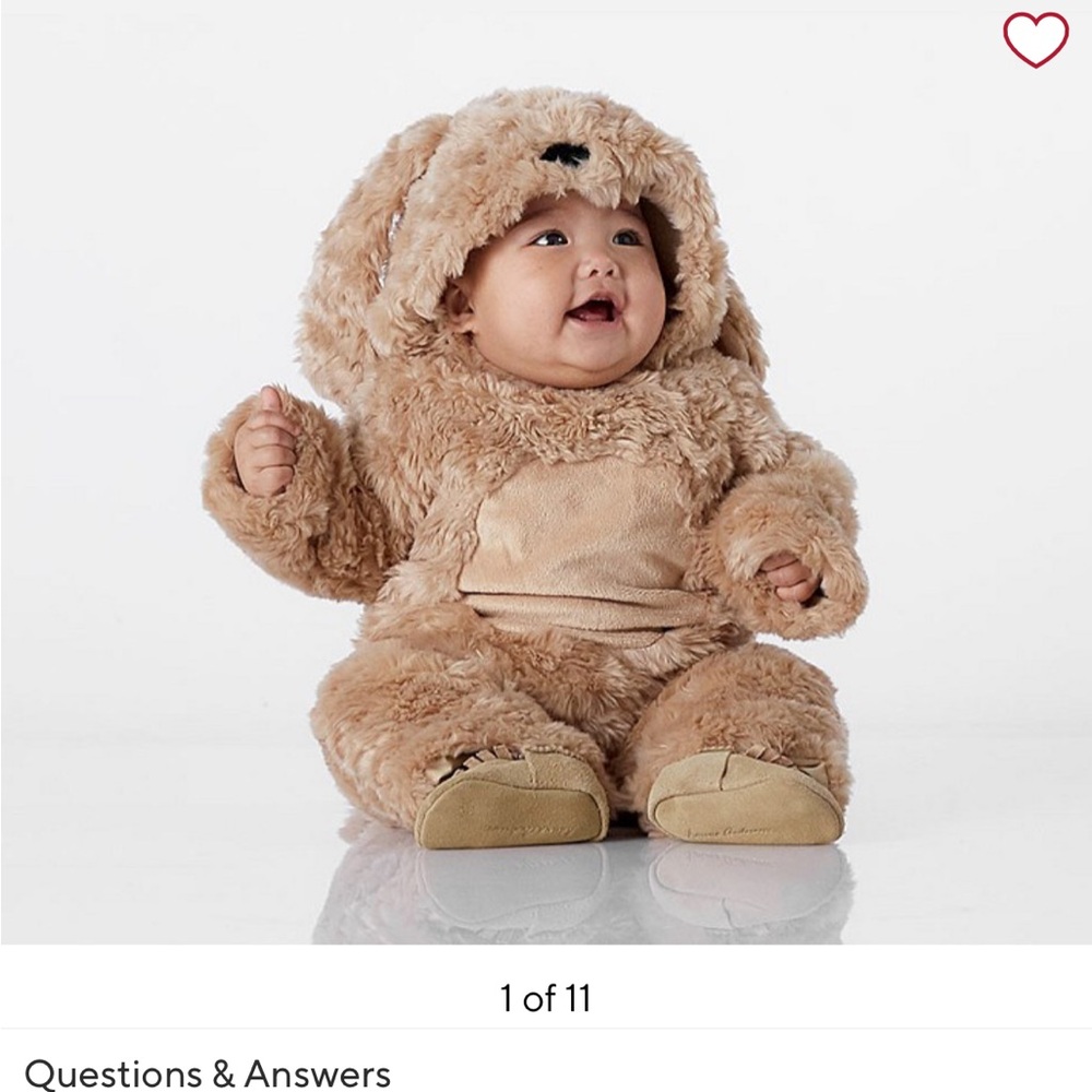 Pottery Barn Kids dog costume, size 6-12 months